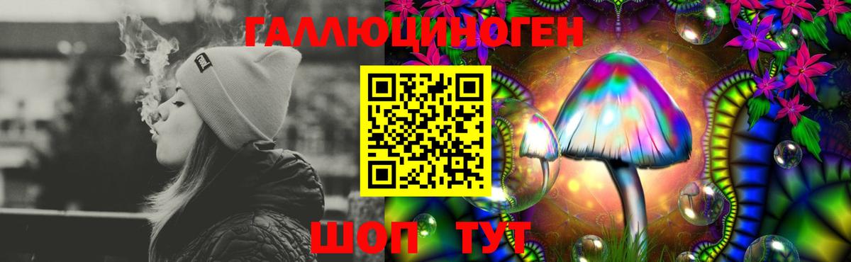 Псилоцибиновые грибы мицелий Борисоглебск